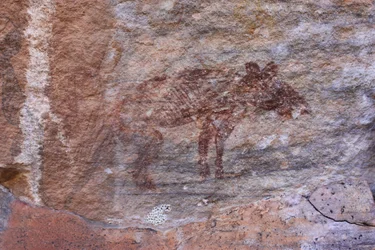 Animal éteint